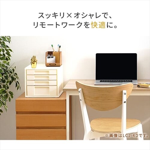 ���ރP�[�X  ���^�[�P�[�X A4 5�i LCJ5M �A�C�{���[_3