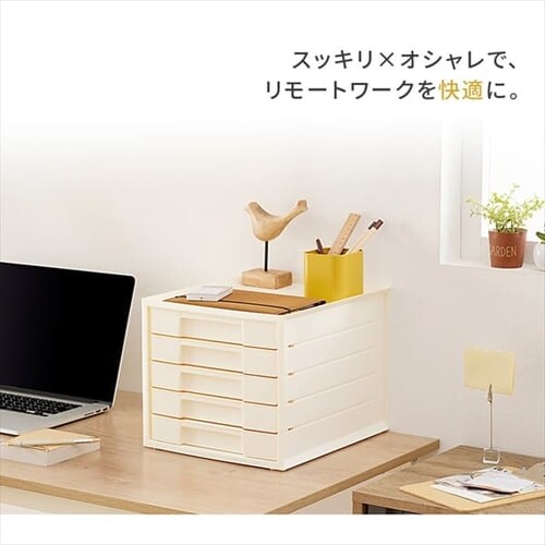 ���ރP�[�X  ���^�[�P�[�X A4 5�i LCJ5M �A�C�{���[_10