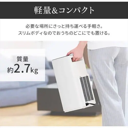 �Z���~�b�N�q�[�^�[ �啗�� �X���� �l���Z���T�[ KJCH-12TDS1-H �O���[_12