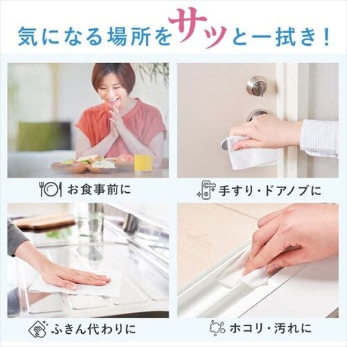 �y12�z�E�F�b�g�e�B�b�V�� �A���R�[�� �l�� 100���� WTT-100A�y�v���U�}�[�P�b�g�z_4