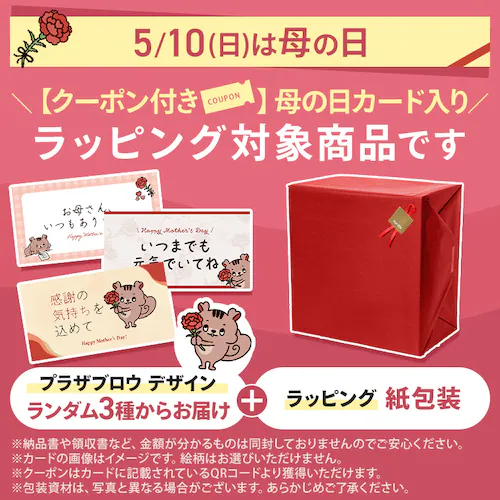 シェフドラム 全自動調理器 4.5L 自動メニュー90種類 CHEF DRUM 自動調理鍋 DAC-IA2-H グレー_2