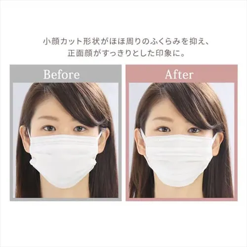 【100枚】 美フィット カラーマスク ふつうサイズ 10枚入×10 ローズグレー_15