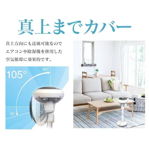�y�󂠂�z�T�[�L�����[�^�[��@ 15cm  �z���C�g_10