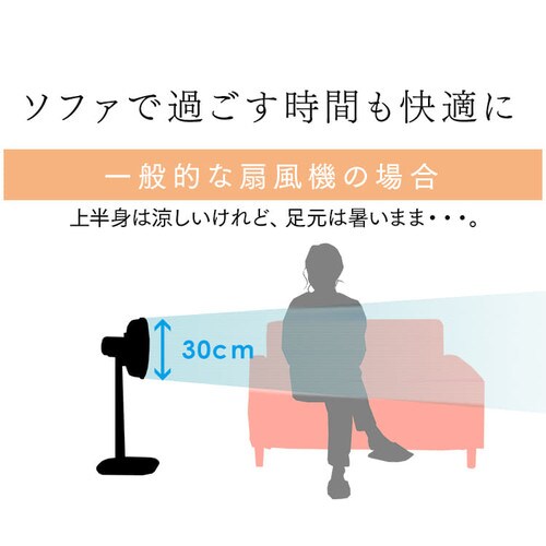 �㉺���[�o�[�^���[�t�@���}�C�R���� �V���o�[_6