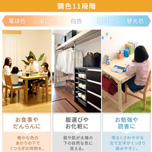 LED �V�[�����O���C�g 8�� ���� ���F �H��E�H���s�v �����R���t�� 5�N�ۏ� CEA-2208DLACKW_10