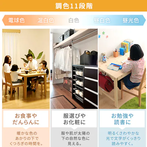 LED �V�[�����O���C�g 12�� ���� ���F �H��E�H���s�v �����R���t�� 5�N�ۏ� CEA-2212DLACKC_10