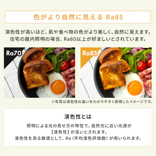 LED �V�[�����O���C�g 12�� ���� ���F �H��E�H���s�v �����R���t�� 5�N�ۏ� CEA-2212DLACKC_14