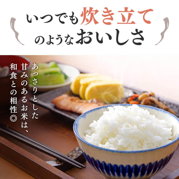 低温製法米のパックご飯 秋田県産あきたこまち 180g×40パック 1902974