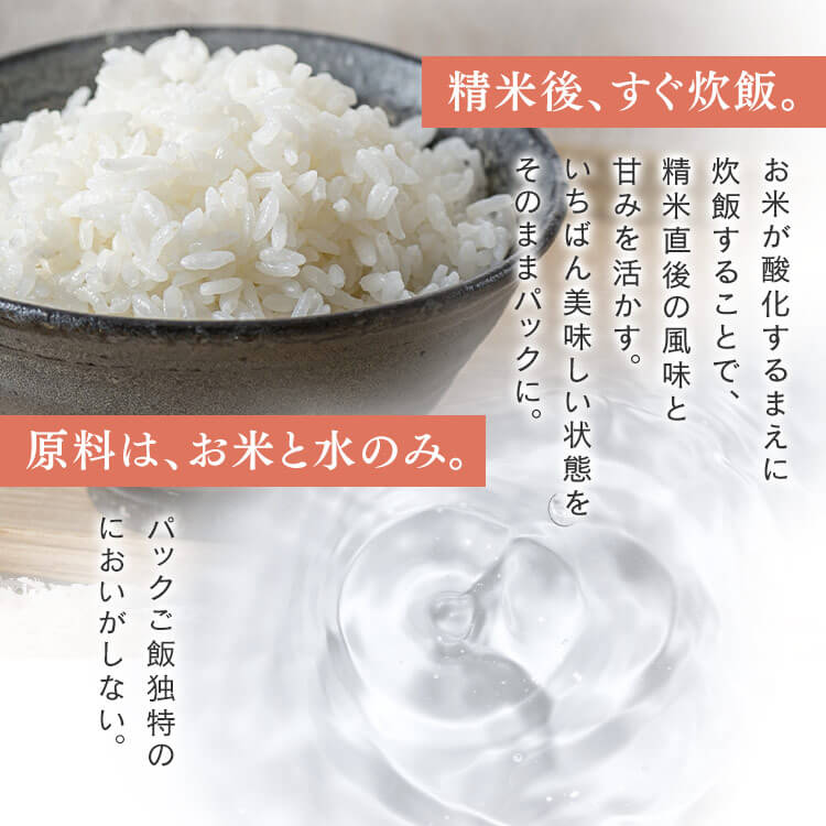 低温製法米のパックご飯 秋田県産あきたこまち 180g×60パック 1901401