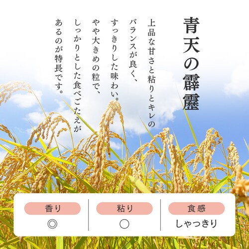 �ቷ���@�Ẵp�b�N���� �V������ 150g�~16�p�b�N�y�v���U�}�[�P�b�g�z_3