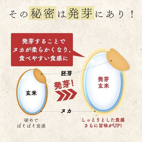 ���茺�� �p�b�N���͂� 150g �ቷ���@�Ă̂����������͂�_5