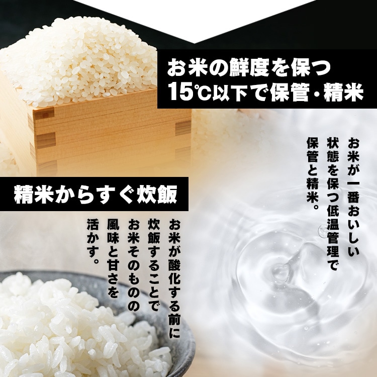 低温製法米のパックごはん 国産米100％ 200g×30パック 1919146