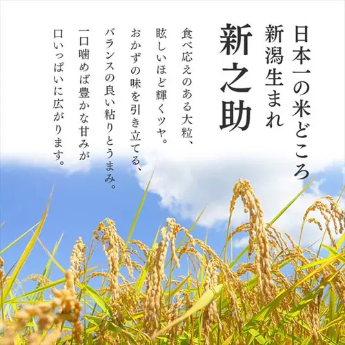 �V�V���p�b�N���� 150g�~3�p�b�N�y�v���U�}�[�P�b�g�z_3