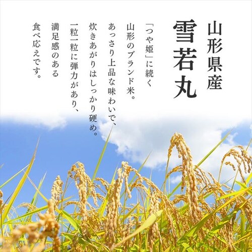 ���ۃp�b�N���� 150g�~3�p�b�N�y�v���U�}�[�P�b�g�z_3