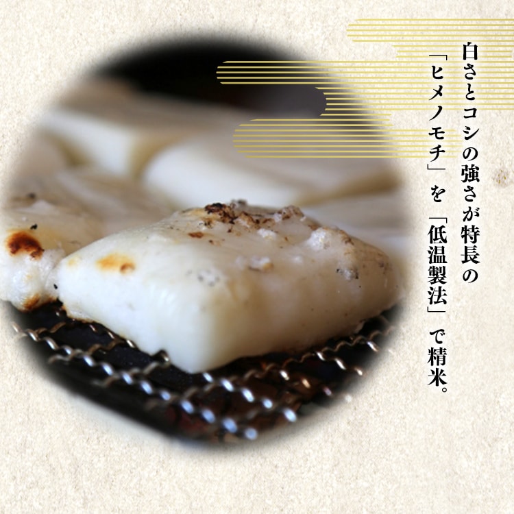 千葉ヒメノ餅 1.1kg H310799│アイリスオーヤマ公式通販アイリスプラザ