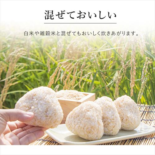 発芽玄米 1.5kg H310858 │アイリスオーヤマ公式通販アイリスプラザ