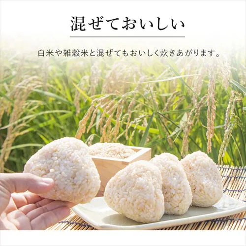 ���茺�� 1.5kg�@�y�v���U�}�[�P�b�g�z_6