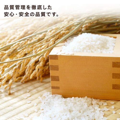 �A���t�@���� ���� 100��_8