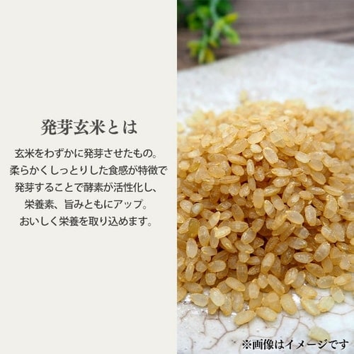 発芽玄米おかゆ・もち麦おかゆ 250g 全2種類 H311168F │アイリス