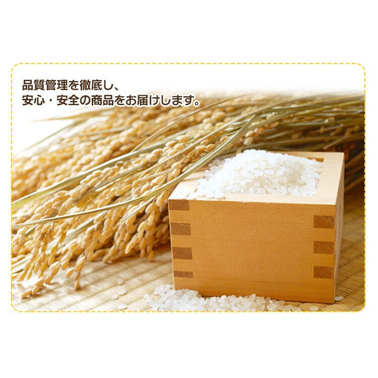 5年保存の非常食 7日分セット】防災食 ごはんおかず 12種42食セット