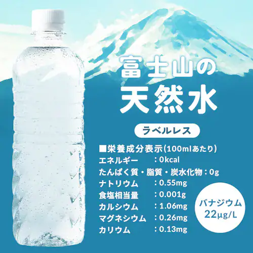【豪華賞品が当たる!福みずジャンボ開催中】【48本】富士山の天然水 500ml ラベルレス _11