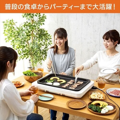 �y�󂠂�z�z�b�g�v���[�g ���E���x���� 1�� WHP-011-B �u���b�N_8