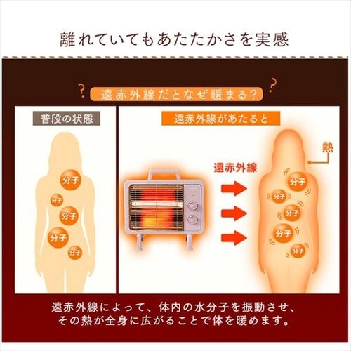 �d�C�X�g�[�u ���ԊO�� �R���p�N�g �u���b�N�R�[�g 2�i�K���� IEHDB-800-P �s���N_5