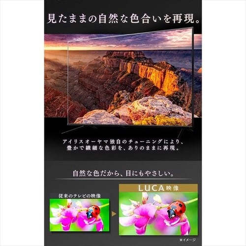 �y�ݒu�����z LUCA 4K�Ή��t���e���r 65�C���` LT-65B625K_4