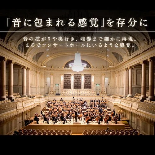 �y�󂠂�z�������� 4K�Ή��t���e���r 55�C���` �u���b�N 55UB28VC_13