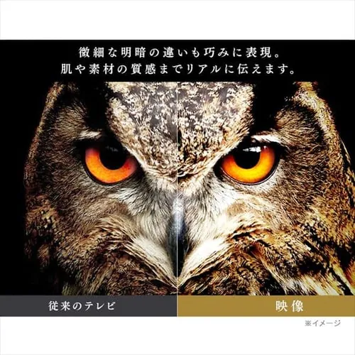 �y�󂠂�z�������� 4K�Ή��t���e���r 55�C���` �u���b�N 55UB28VC_15