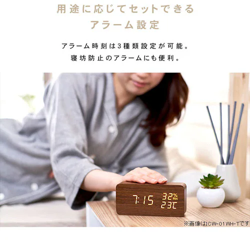 �f�W�^���u���v ICW-01W �S3�F_9