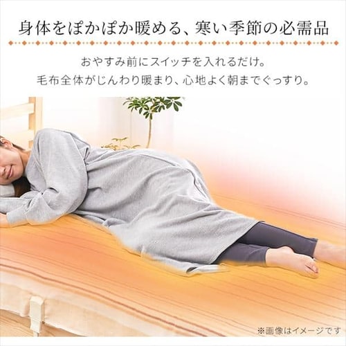 電気毛布 掛け/敷き 130×188㎝ 自動切タイマー EHB-1813-T ブラウン