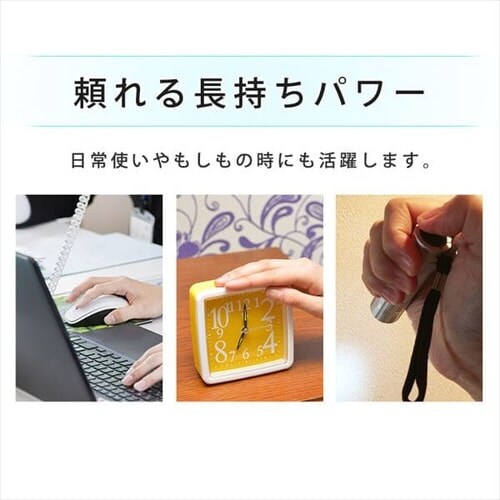 BIGCAPA basic �P4�`8�{�p�b�N LR03Bb/8P_2