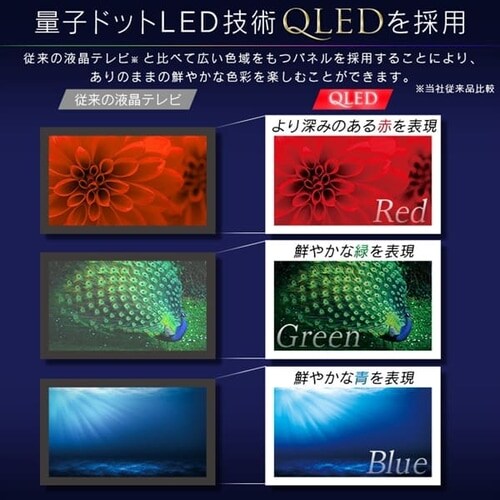 テレビ 55V型 4K QLED LUCA 55XQUC35 H517836 │アイリスオーヤマ公式