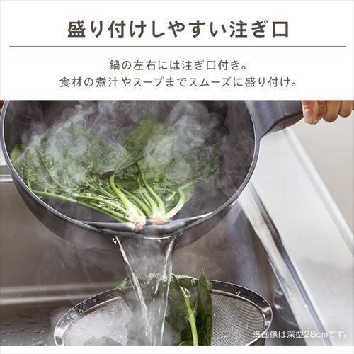 �t���C�p�� �[�^ 26cm �K�X�ΐ�p �y�� GVL-D26_7