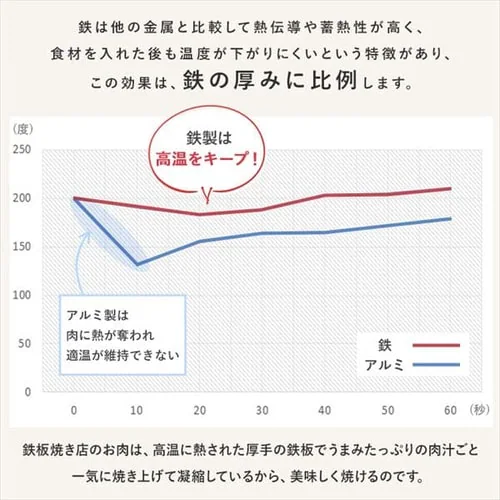 鉄フライパン 20cm IH/ガス火対応 極厚鉄タイプ SCPT-F20 ブラック_5