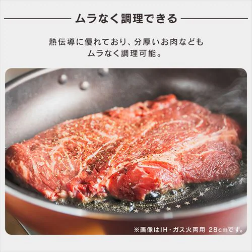 �t���C�p�� �K�X�ΐ�p �_�C�������h�R�[�g�p�� VDG-F_6