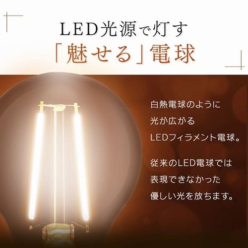 2個セット】LEDフィラメント電球 E26口金 全方向タイプ 25W形相当 昼