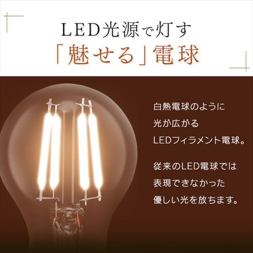 2個セット】LEDフィラメント電球 E17口金 全方向タイプ 25W形相当 昼