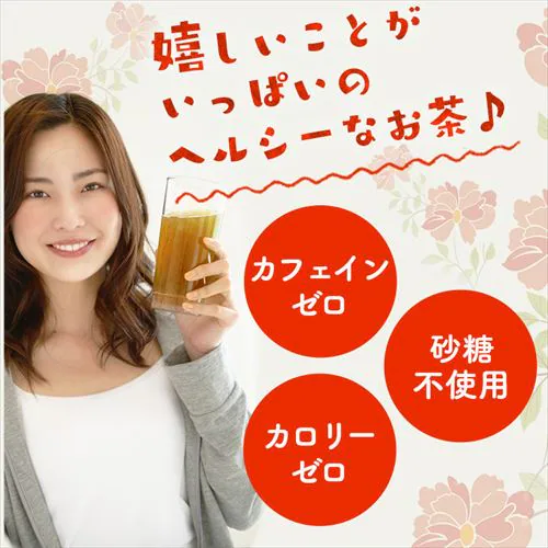 【20本】とうもろこしのひげ茶 340ml_5