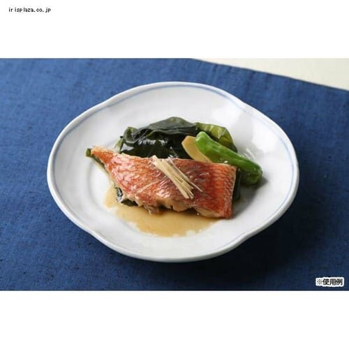 �yIH�Ή��zKITCHEN CHEF �������� 28cm MKSN-P28 �u���E��_14