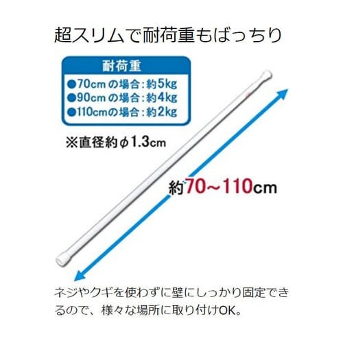 �y�󂠂�z�L�k�_���X�����@RSV-110�z���C�g_2