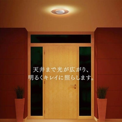 パネルライト 小型 LED 1500lm 昼光色 玄関 廊下 キッチン 洗面所