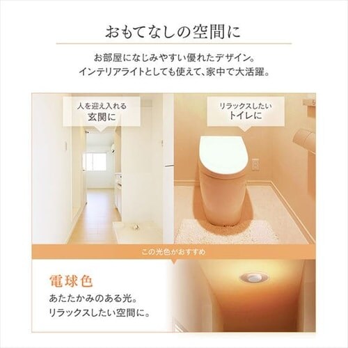 �p�l�����C�g ���^ LED 1500lm �d���F ���� �L�� �L�b�`�� ���ʏ� �N���[�[�b�g �g�C�� ���u �Ɩ� SCL-150L-LGP_7