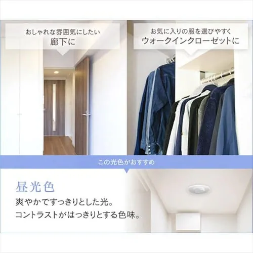 ���^�V�[�����O���C�g �p�l�����C�g 1500lm �l���Z���T�[�t SCL-150DMS-LGP SCL-150LMS-LGP �S2�F_8