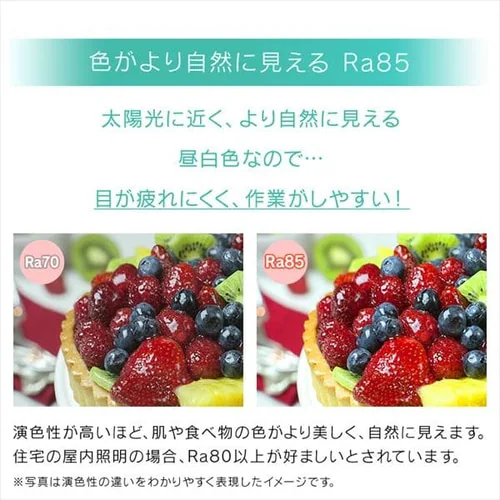 LED�f�X�N���C�g 2500lx �������i�K LDL-502-B �u���b�N_13