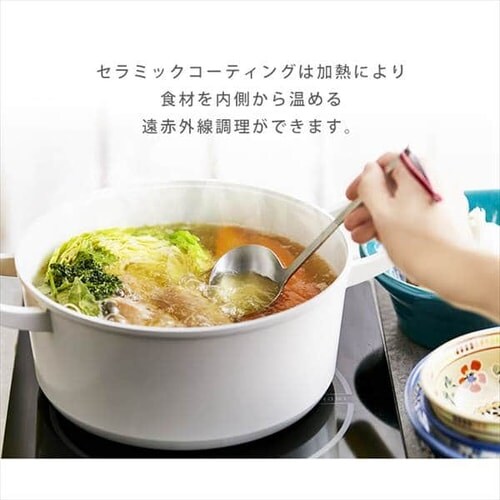 �t���C�p�� �Ȃ� 10�_�Z�b�g ���I���g LUO-SE10G �_�[�N�O���[_13