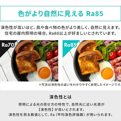 LED�f�X�N���C�gQi�[�d�V���[�Y �c�u���^�C�v �����E���F LDL-QLDL�@�S2�F_9