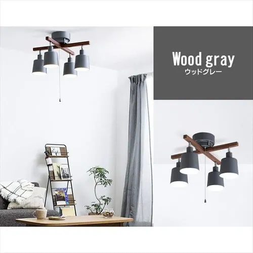 �y�d���Z�b�g�z 4���V�[�����O���C�g �N���X�^�C�v �v���X�C�b�`�� E26 CE4LA-20C-W �z���C�g (�d���F)_6