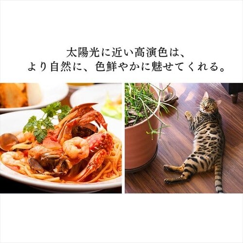 �y2�Z�b�g�zLED�d�� E26���� �L�z���^�C�v 60W�`���� �����F �����F LDA10N-G-6T5HR_3